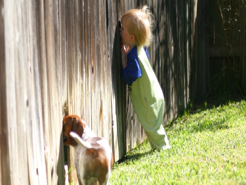 试管15周视频军管试管医疗待遇试管鲜胚是